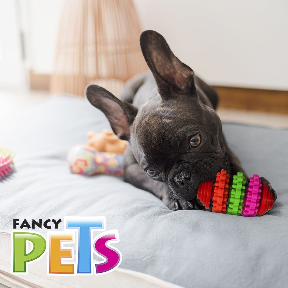 JUGUETE ENGRANES DE CAUCHO FANCY PETS