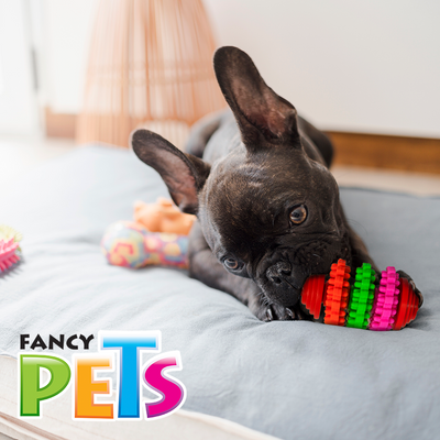 JUGUETE ENGRANES DE CAUCHO FANCY PETS