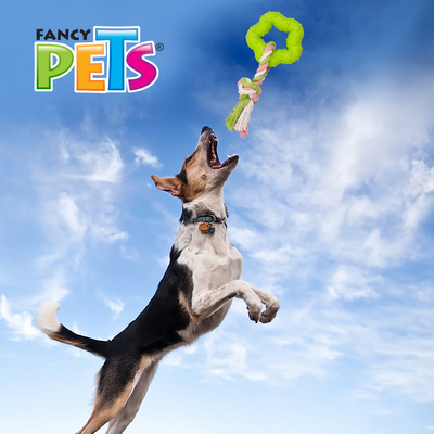 JUGUETE CUERDA C/ESTRELLA DE CAUCHO FANCY PETS
