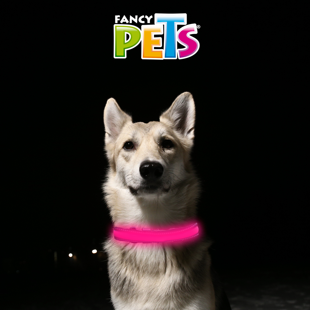 COLLAR LED REFLEJANTE FANCY PETS