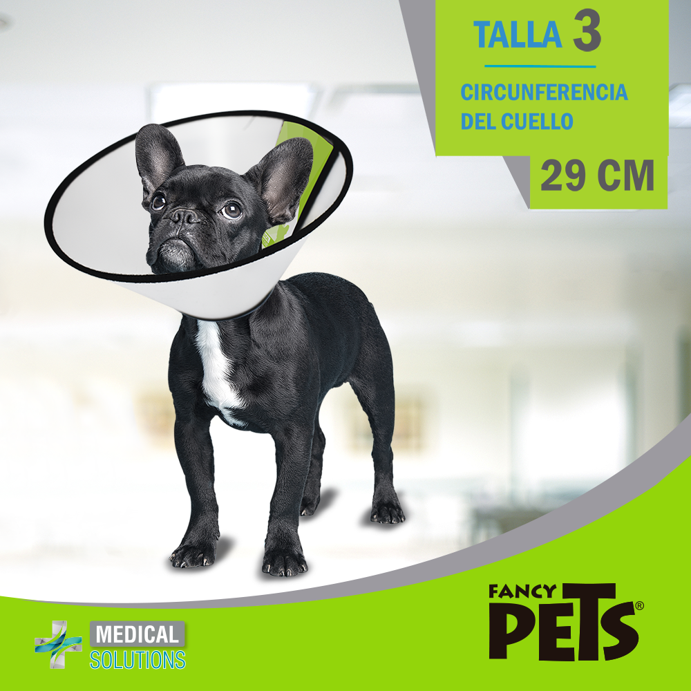 MS COLLAR ISABELINO TALLA 0 - 10 FANCY PETS