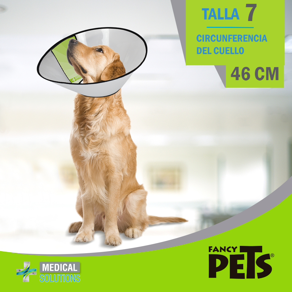 MS COLLAR ISABELINO TALLA 0 - 10 FANCY PETS