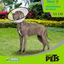 MS COLLAR ISABELINO TALLA 0 - 10 FANCY PETS