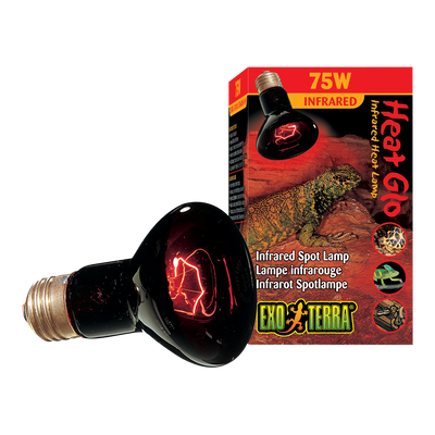 FOCO HEAT GLO EXO-TERRA HAGEN