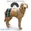 Walkin Pets Hip-EEZ Puente - accesorio para Subluxación de Cadera