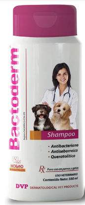 BACTODERM SHAMPOO 350 ML - HOLLAND