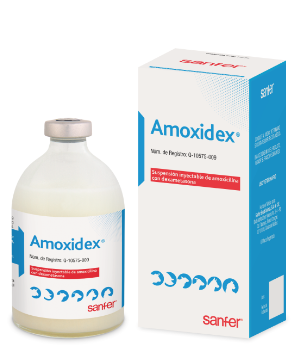 AMOXIDEX LA