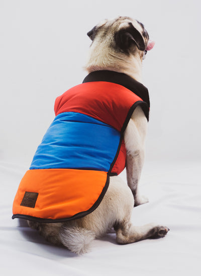 Urbandog Chaleco Lotería
