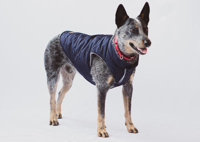 Urbandog Chaleco Mack
