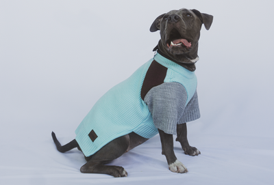 Urbandog Suéter Mazapán