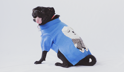 Urbandog Suéter Merengue