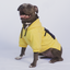 Urbandog Sudadera Mowgli