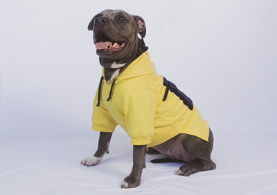 Urbandog Sudadera Mowgli