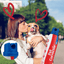Company of Animals Pet Corrector