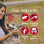Company of Animals Pet Corrector