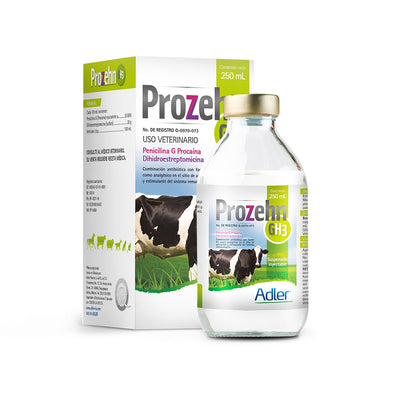 Adler - Prozehn GH3