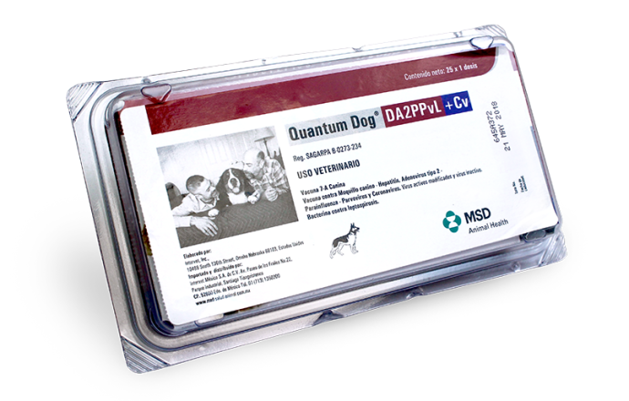 MSD Quantum Dog DA2PPvL+Cv