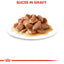 Royal Canin FCN Intense Beauty Loaf in Sauce