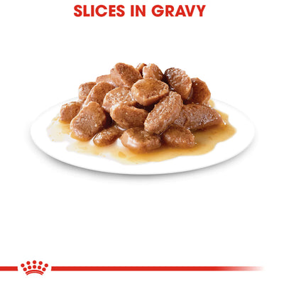 Royal Canin FCN Intense Beauty Thin Slices in Gravy