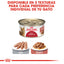 Royal Canin FCN Intense Beauty Thin Slices in Gravy