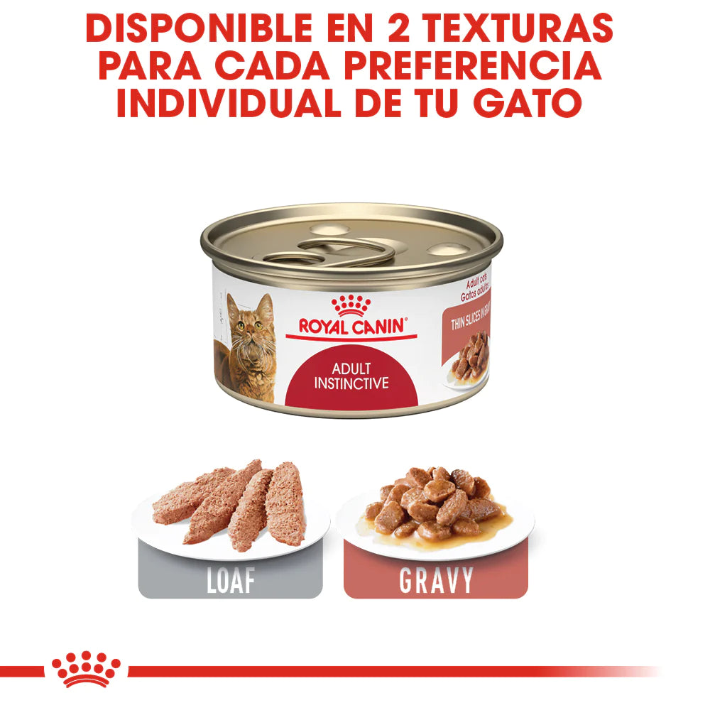 Royal Canin FCN Intense Beauty Thin Slices in Gravy