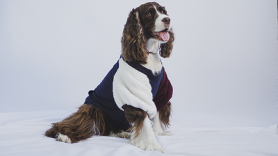 Urbandog Sudadera Raksha