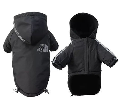 Paw pent-  Impermeable The God Dog negro