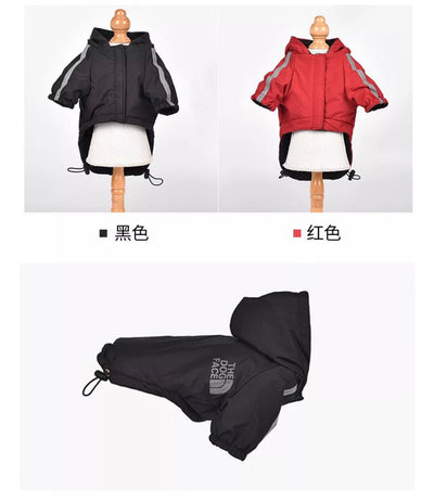 Paw pent-  Impermeable The God Dog negro