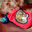Paw Pets -  Chamara Gucci Roja