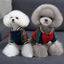 Paw Pets -  Chamara Gucci Roja
