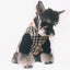 Paw Pets- Chaleco Burberry