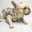 Paw Pets- Chaleco Burberry