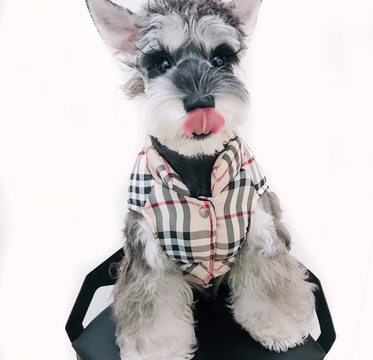 Paw Pets- Chaleco Burberry