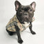 Paw Pets- Chaleco Burberry