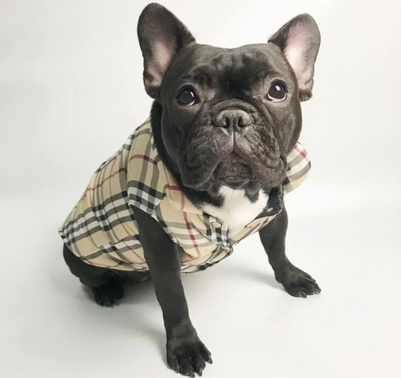 Paw Pets- Chaleco Burberry