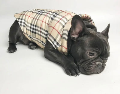 Paw Pets- Chaleco Burberry