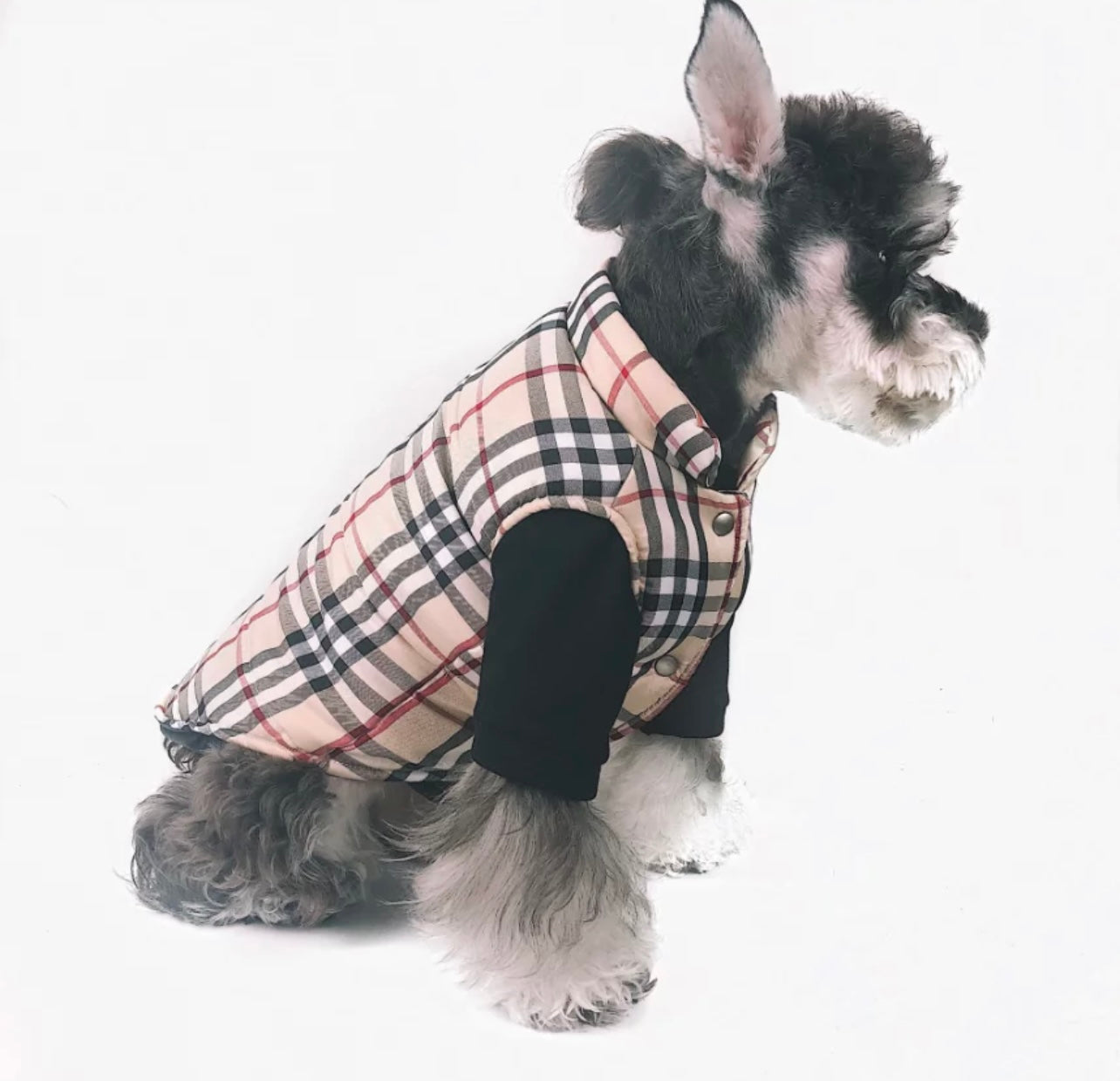 Paw Pets- Chaleco Burberry