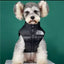 Paw Pets-Chaleco The Dog Face