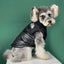 Paw Pets-Chaleco The Dog Face