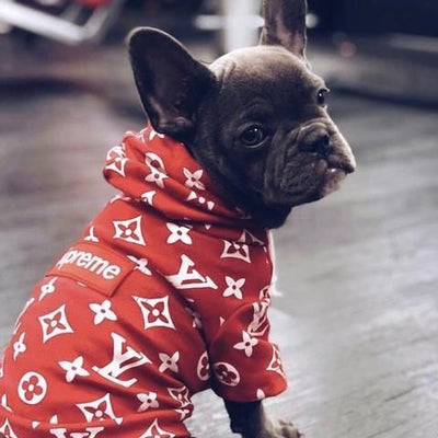 Paw Pets- Sudadera Supreme/LV Roja