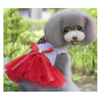 SV22 Vestido Rojo de Corazón, Paw Pets
