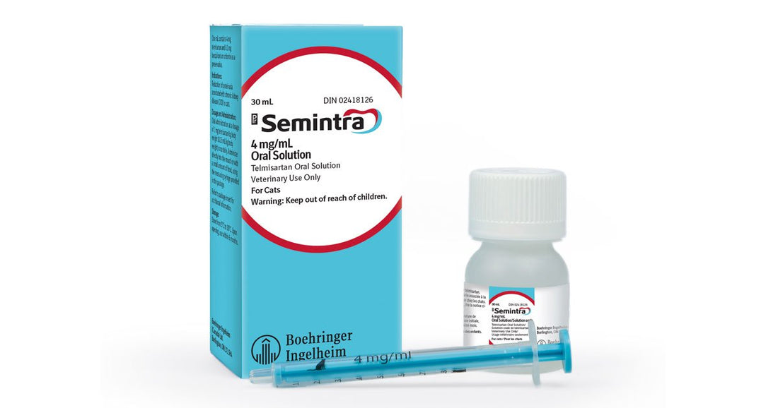 SEMINTRA SOLUCIÓN ORAL 30 ml Franz Haus