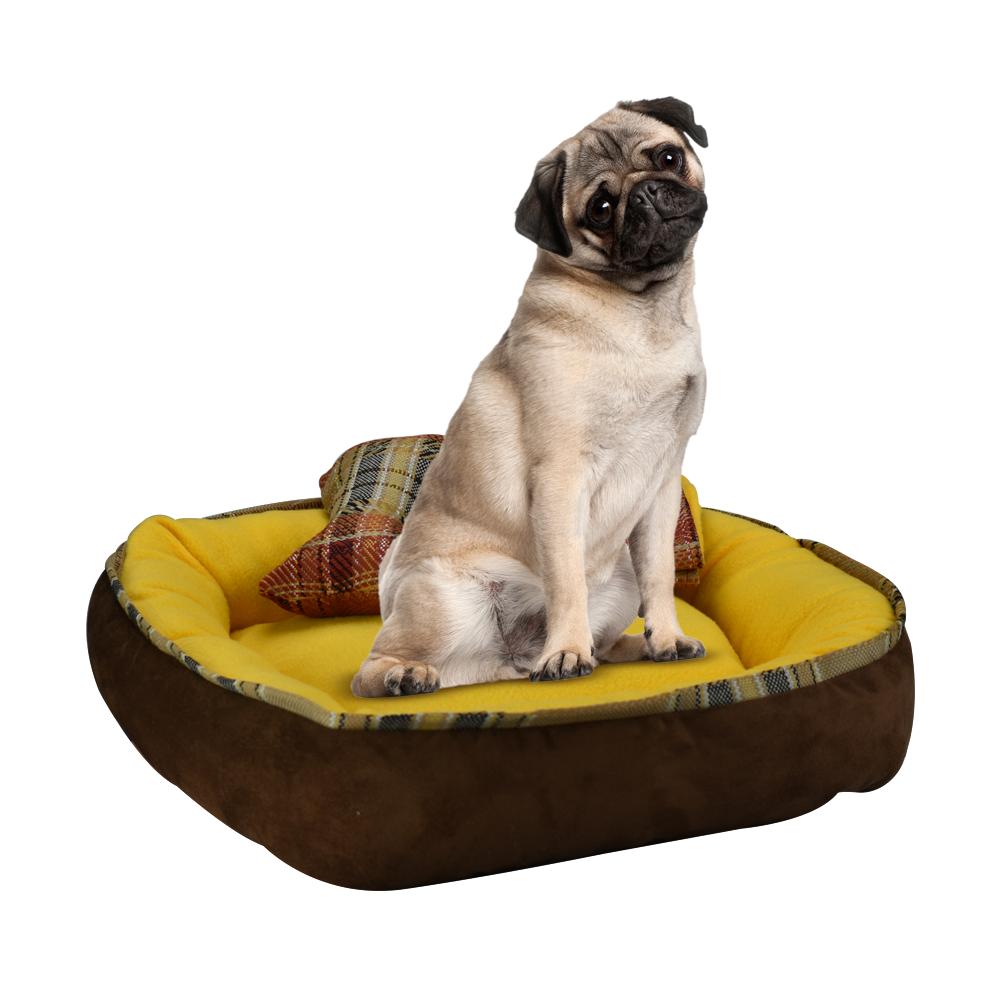 CAMA C/FRAZADA Y JUGUETE FANCY PETS