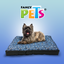 COLCHONETA BUGGIE BLUE FANCYPETS