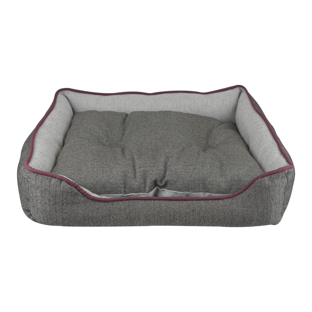 CAMA CHESNEY FANCYPETS