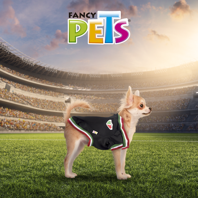 CHAMARRA MEXICO FANCYPETS