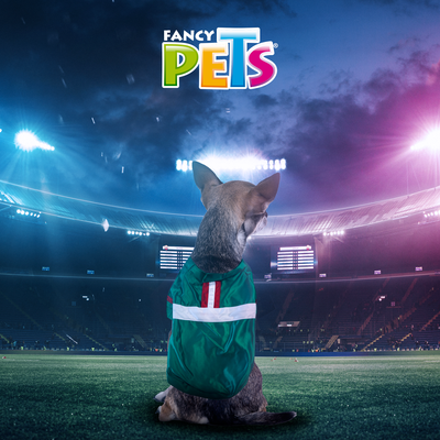 PLAYERA SOCCER BANDERA FANCYPETS