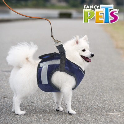 ARNES BAYAB FANCYPETS