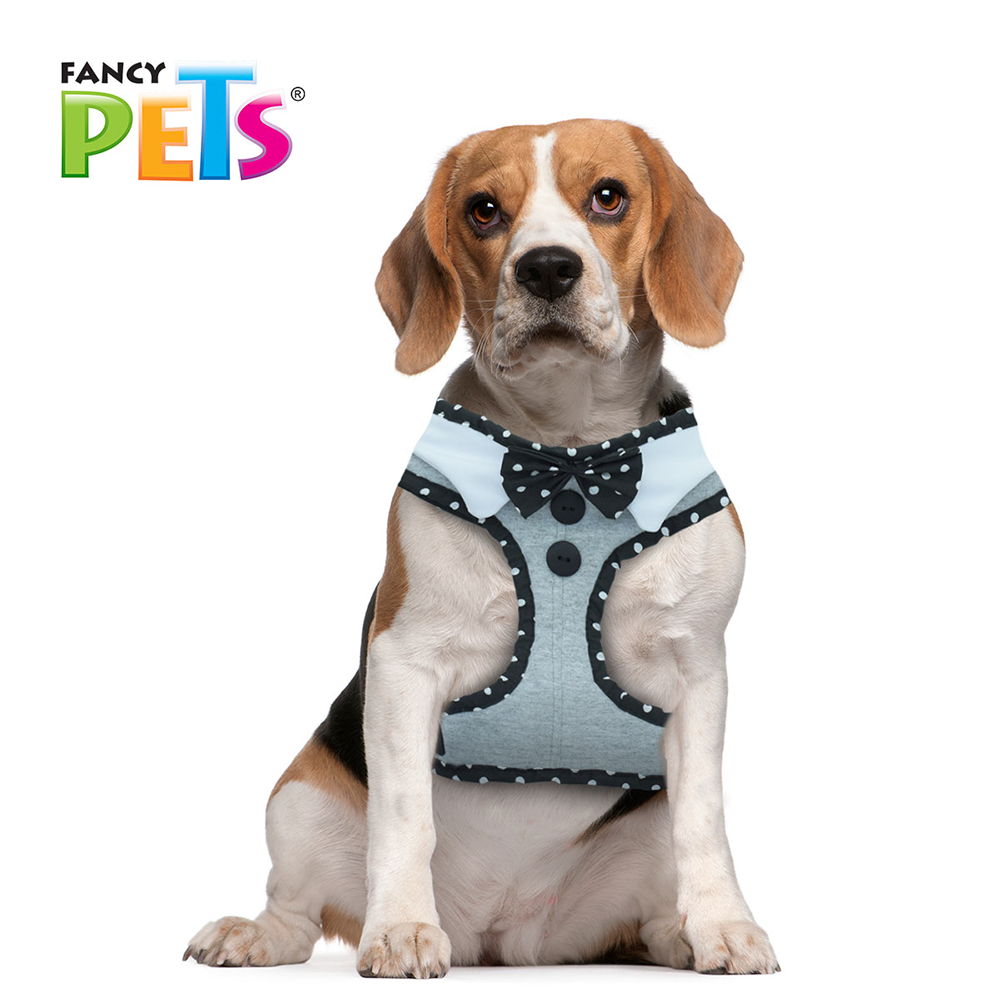 ARNES MODELAJE CORBATIN FANCYPETS
