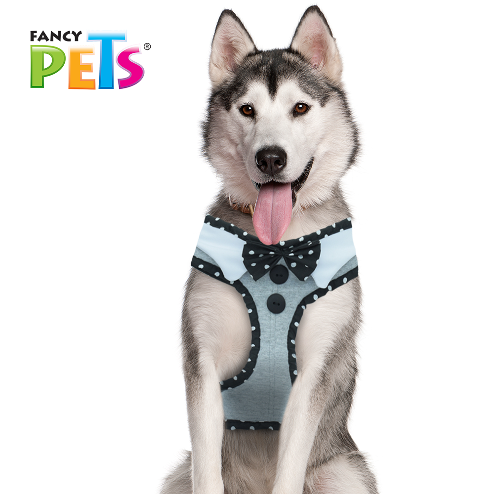 ARNES MODELAJE CORBATIN FANCYPETS